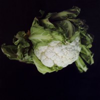 http://www.cedricjalade.com/files/gimgs/th-29_Sans titre - 9740x40b.jpg